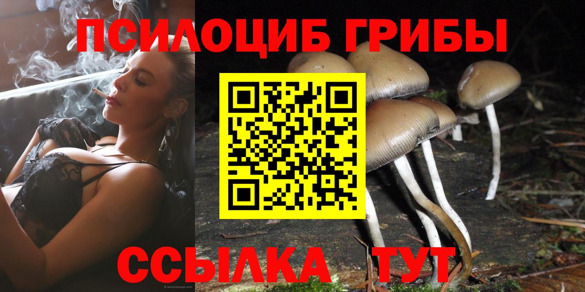Псилоцибиновые грибы Cubensis  Псилоцибиновые грибы Cubensis  где продают наркотики  Вход с VPN  Ялта 